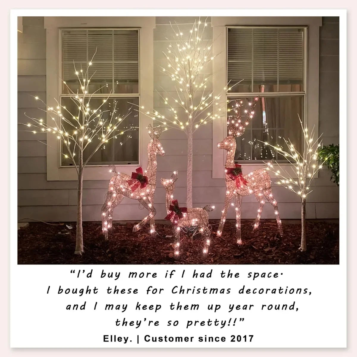 3-Piece Lighted Birch Tree Set (4/6/8FT) with Warm White LEDs for Year-Round Indoor Outdoor Decor: Patio, Wedding, Christmas.